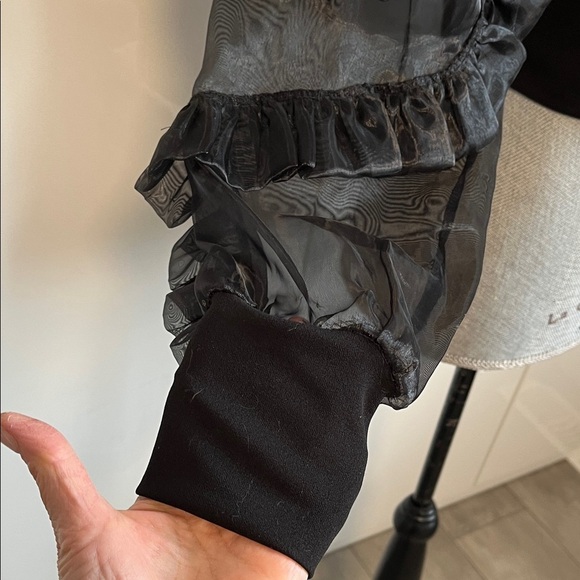 NWOT Elegant Black Fitted Stretch Sheer Rosette Sleeve Top, Size 40/8/M - Picture 3 of 12